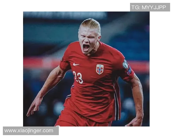 高学历足球明星的崛起与影响力探讨