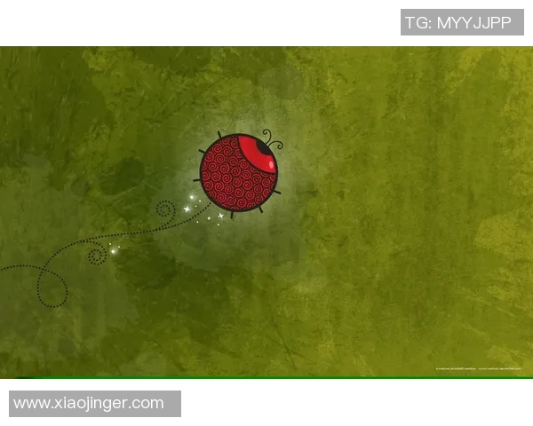 足球桌面背景设计灵感分享让你的电脑焕发活力与激情