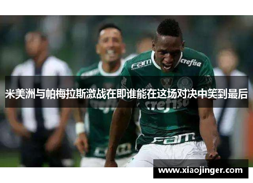 米美洲与帕梅拉斯激战在即谁能在这场对决中笑到最后